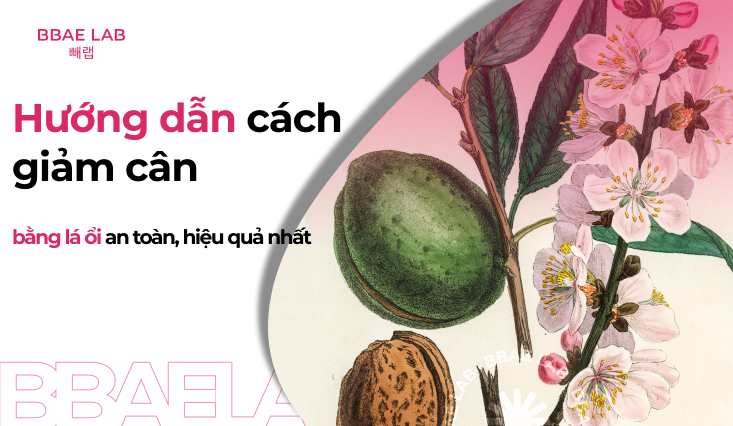 giam-can-bang-la-oi