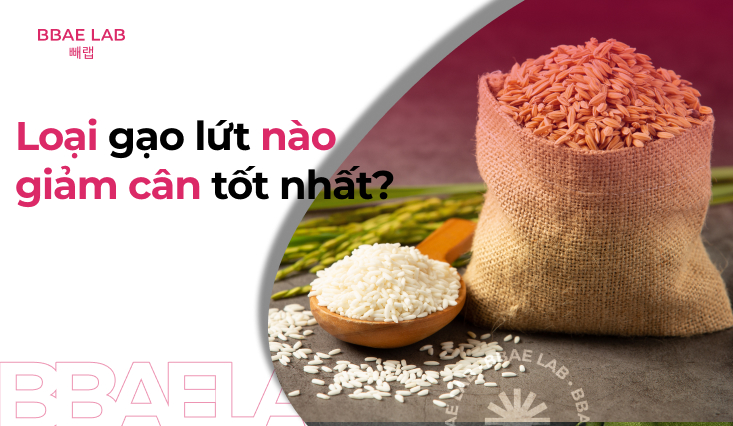 loai-gao-lut-nao-giam-can-tot-nhat