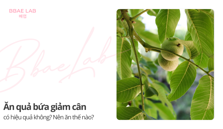 quả bứa giảm cân