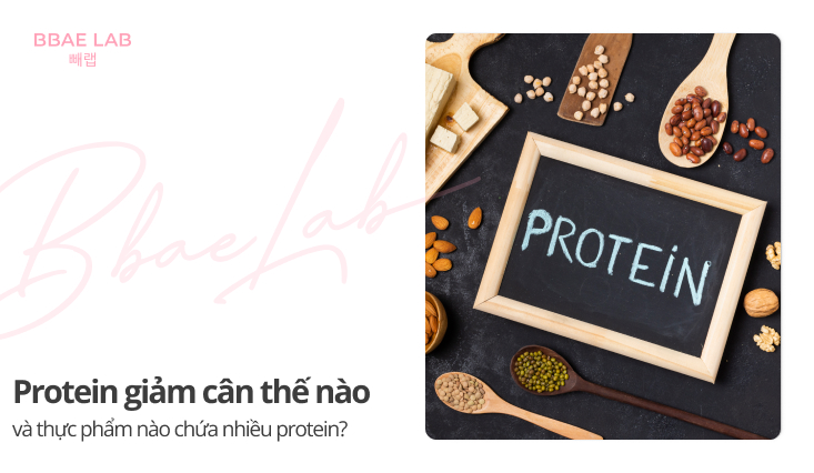 protein giảm cân