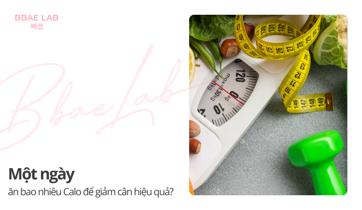 mot-ngay-an-bao-nhieu-calo-de-giam-can